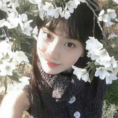 气盖山河